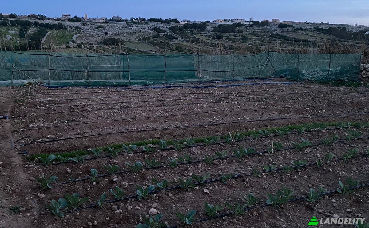 Lote de terreno à venda Ouled Salem, El Jadida, Casablanca-Settat, Morocco. foto 2