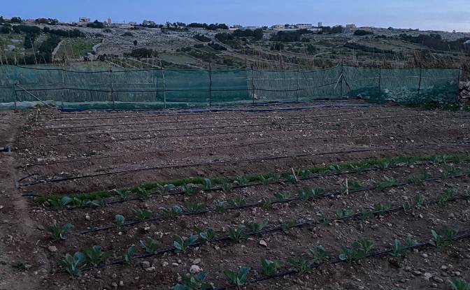 Lote de terreno à venda Ouled Salem, El Jadida. foto#2