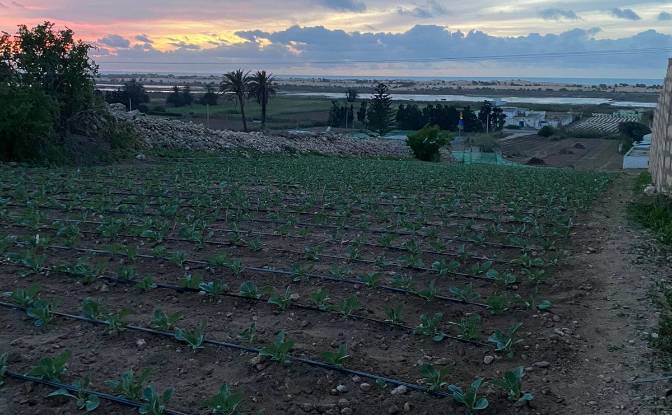 Lote de terreno à venda Ouled Salem, El Jadida. foto#3