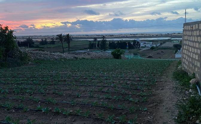 Lote de terreno à venda Ouled Salem, El Jadida. foto#4