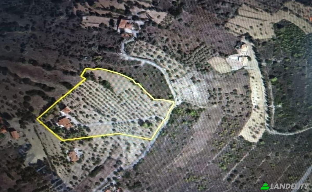 Casa unifamiliar à venda dos xoris onomasia, Delfi, Galaxidi, Central Greece, Decentralized Administration of Thessaly and Central Greece, Greece. foto 10