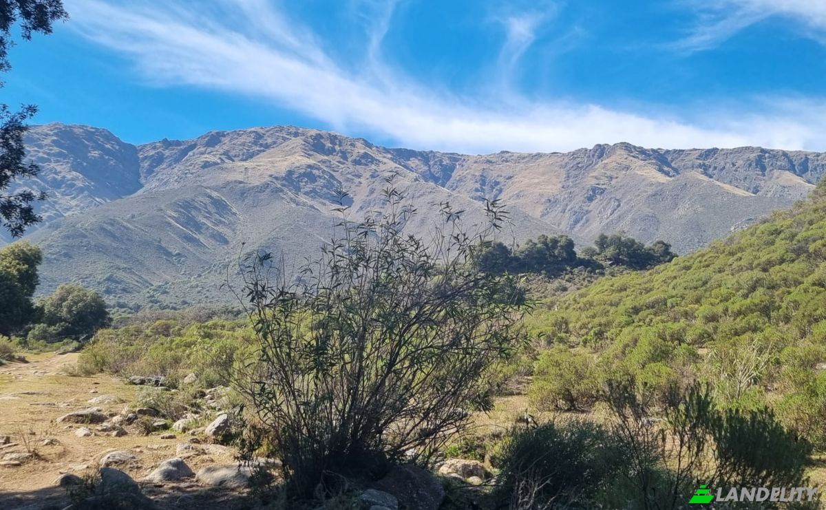Land Lot for Sale Via sin nombre, Cordoba, Travesia, San Javier Department, Cordoba Province, Argentina. Photo 3