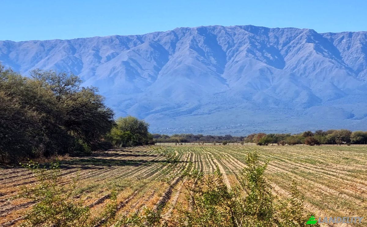 Land Lot for Sale Via sin nombre, Cordoba, Travesia, San Javier Department, Cordoba Province, Argentina. Photo 2