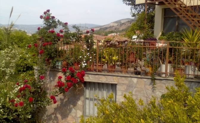 Single Family Home for Sale - Volos, Greece