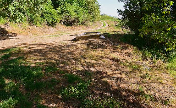 Land Lot for Sale - Vrdnik, Serbia