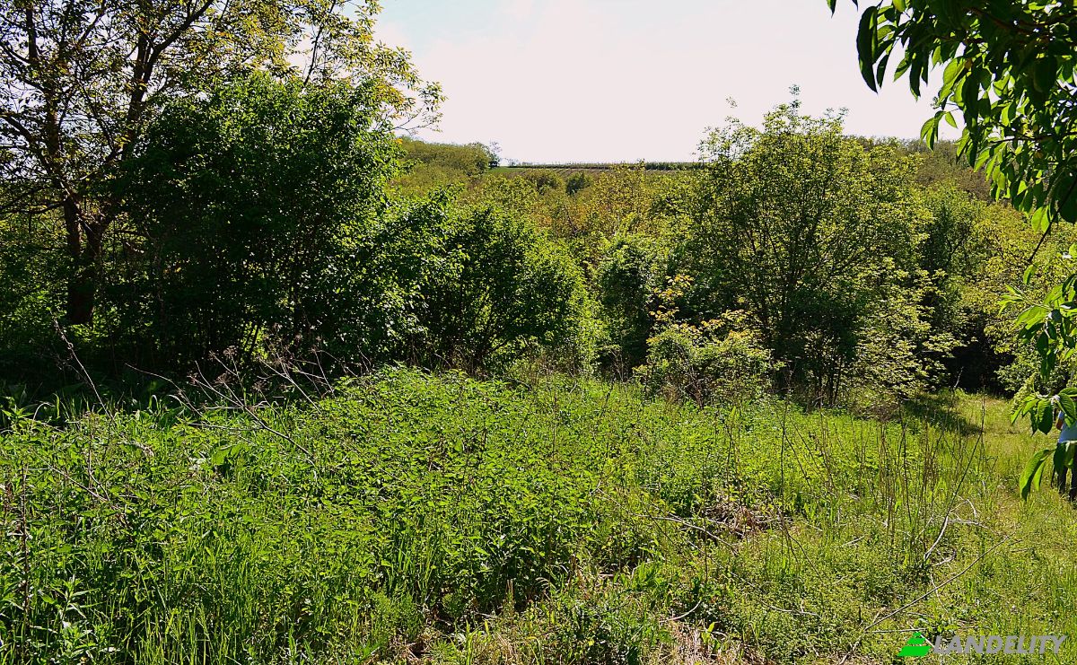 Grondperceel Te koop Valdov, Vrdnik, Srem District, Vojvodina, Serbia. Foto 2