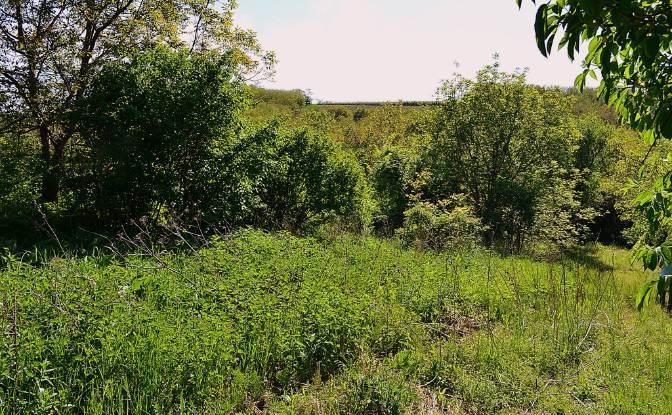 Grondperceel Te koop Valdov, Vrdnik, Srem District. Foto#2
