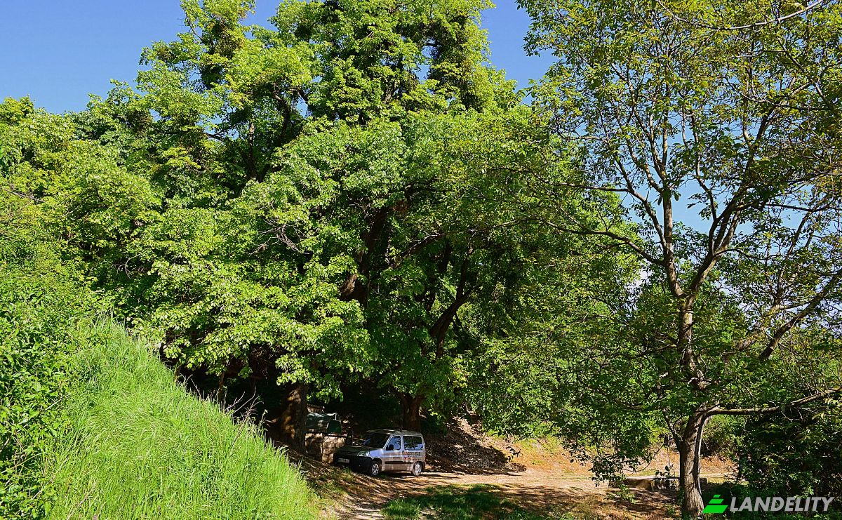 Grondperceel Te koop Valdov, Vrdnik, Srem District, Vojvodina, Serbia. Foto 4