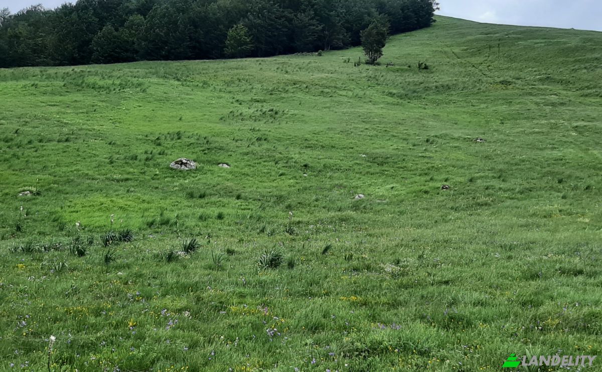 Land Lot for Sale Novakovici, Zabljak Municipality, Montenegro. Photo 11