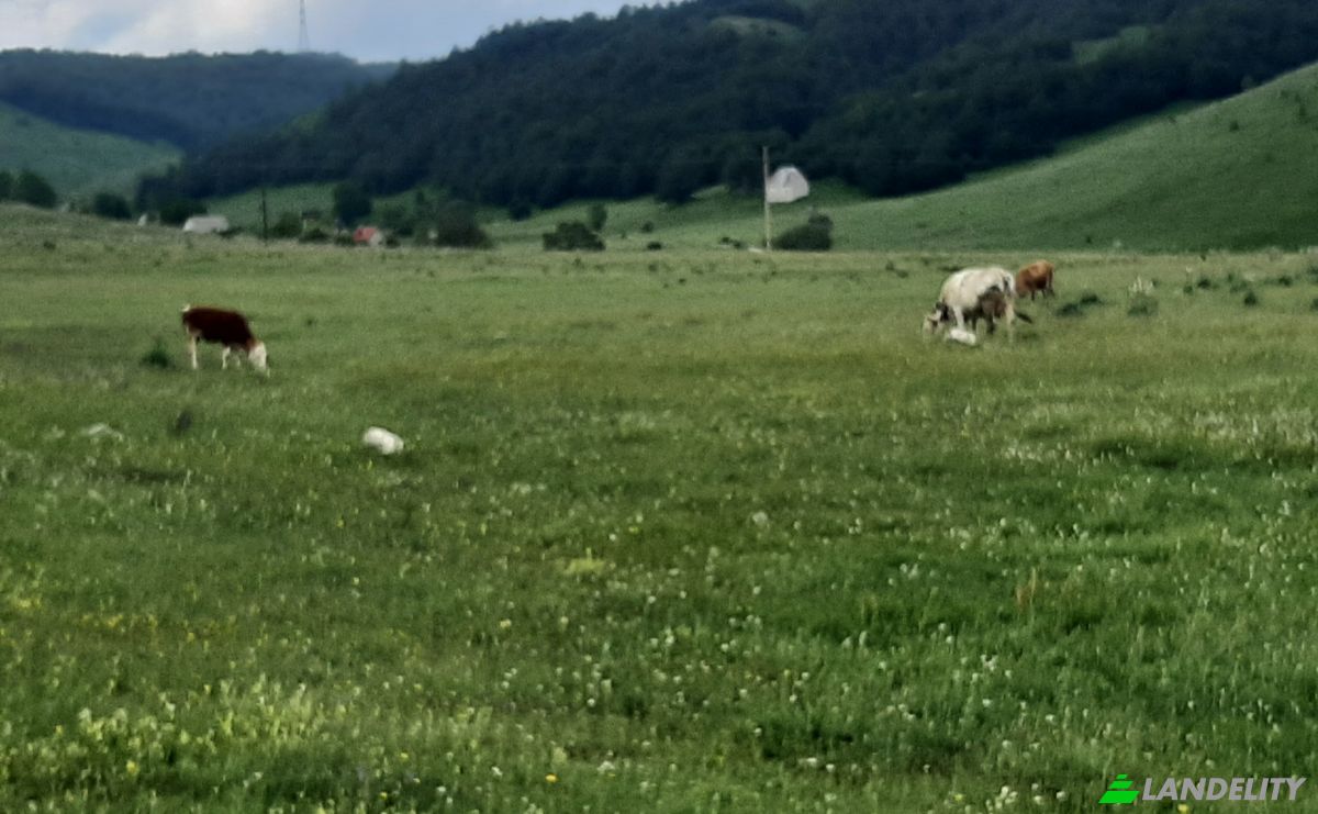 Land Lot for Sale Novakovici, Zabljak Municipality, Montenegro. Photo 3