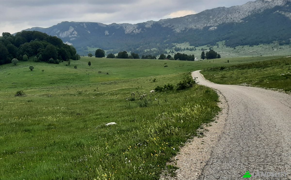 Land Lot for Sale Novakovici, Zabljak Municipality, Montenegro. Photo 4