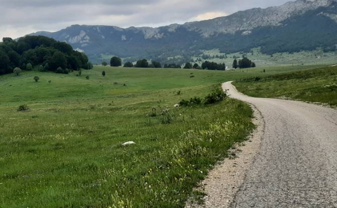 Land Lot for Sale Novakovici, Zabljak Municipality. Photo#4