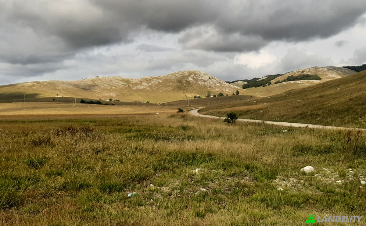 Land Lot for Sale Novakovici, Zabljak Municipality, Montenegro. Photo 6