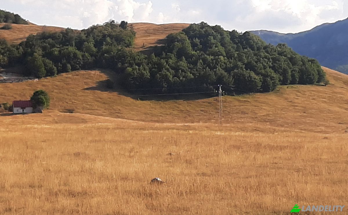 Land Lot for Sale Novakovici, Zabljak Municipality, Montenegro. Photo 7