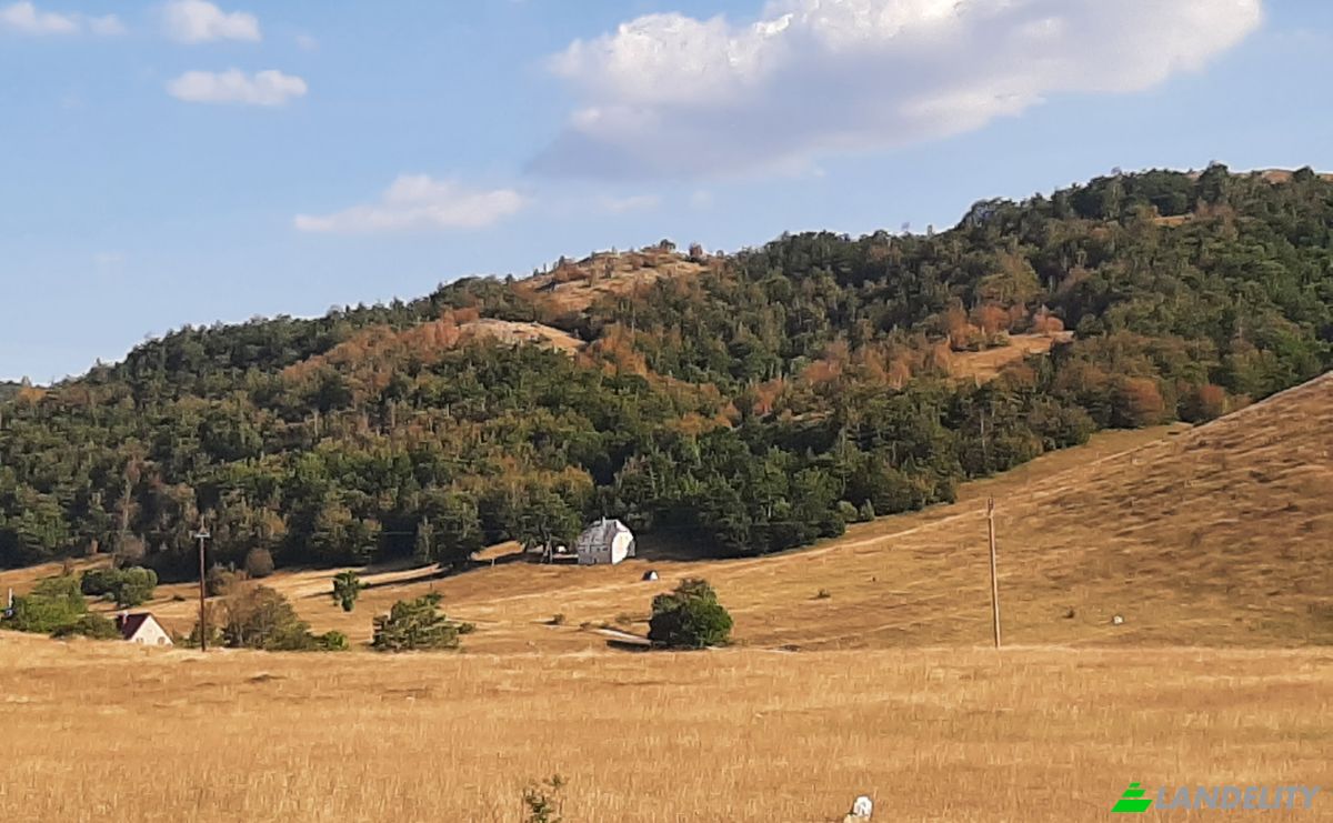 Land Lot for Sale Novakovici, Zabljak Municipality, Montenegro. Photo 9