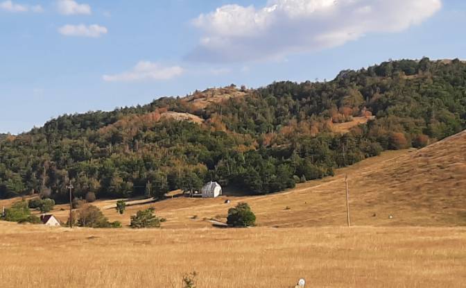 Land Lot for Sale Novakovici, Zabljak Municipality. Photo#9