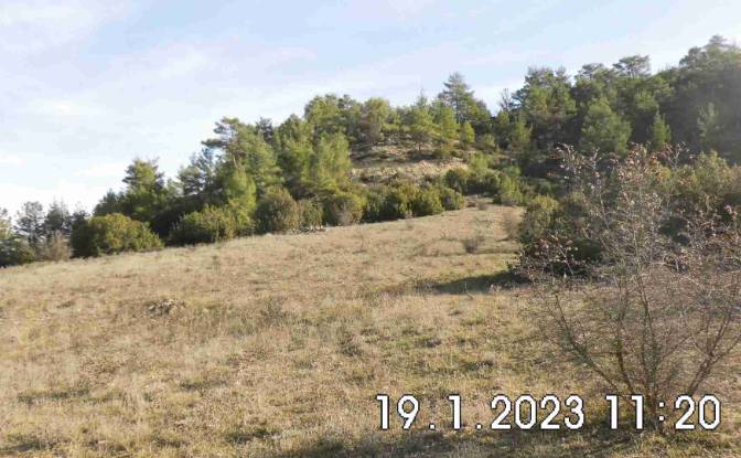 Land Lot for Sale - Bekilli Denizli, Turkiye