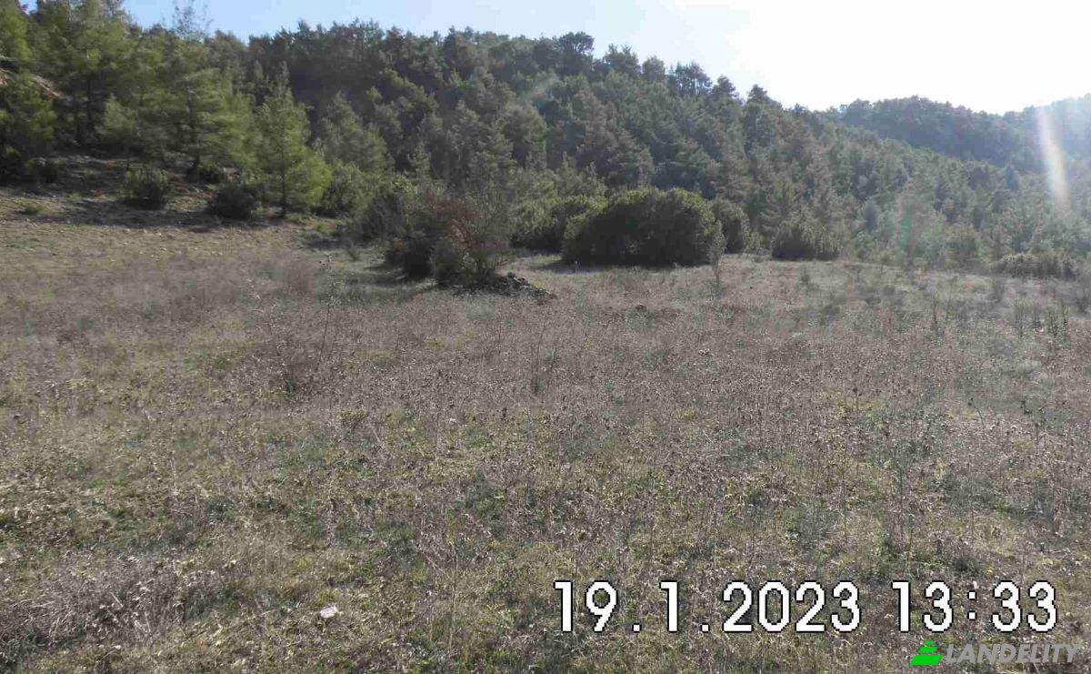 Land Lot for Sale Isimsiz Yol, 64902 Ulubey Usak, Bekilli Denizli, Bekilli, Denizli, Turkiye. Photo 10