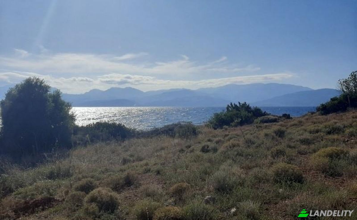 Land Lot for Sale dos xoris onomasia, Dorida, Tolofon, Central Greece, Decentralized Administration of Thessaly and Central Greece, Greece. Photo 3