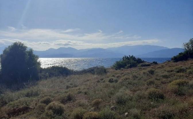 Land Lot for Sale dos xoris onomasia, Dorida. Photo#3 Land Lot for Sale dos xoris onomasia, Dorida. Photo#3