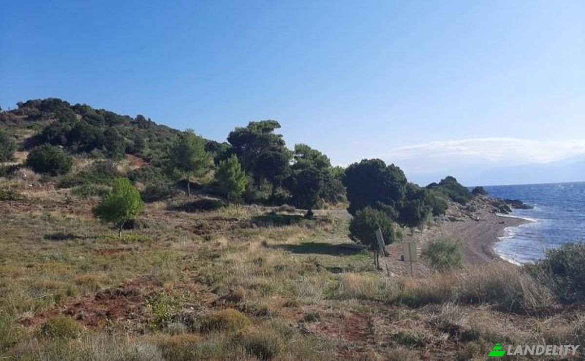 Land Lot for Sale dos xoris onomasia, Dorida, Tolofon, Central Greece, Decentralized Administration of Thessaly and Central Greece, Greece. Photo 4