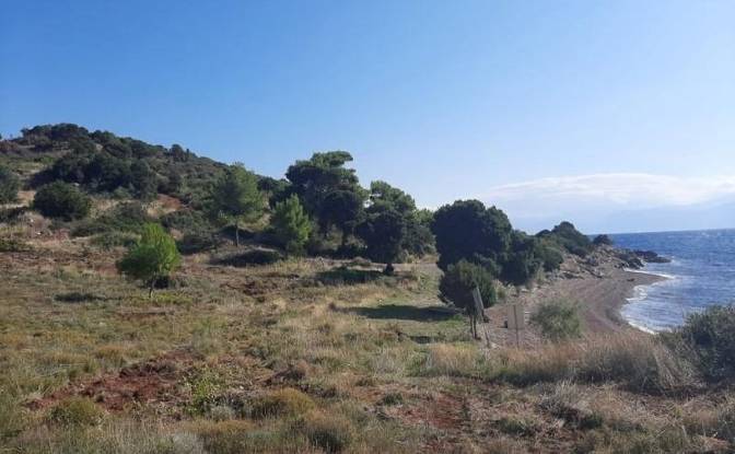 Land Lot for Sale dos xoris onomasia, Dorida. Photo#4 Land Lot for Sale dos xoris onomasia, Dorida. Photo#4