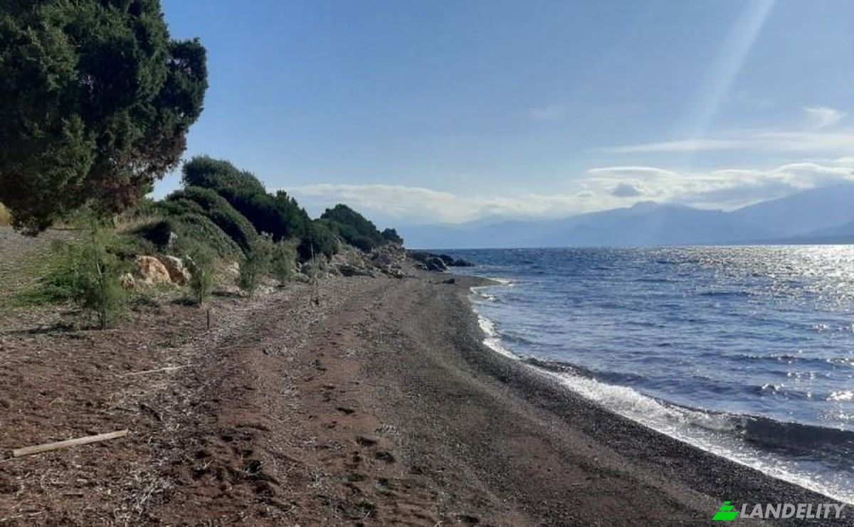 Land Lot for Sale dos xoris onomasia, Dorida, Tolofon, Central Greece, Decentralized Administration of Thessaly and Central Greece, Greece. Photo 6