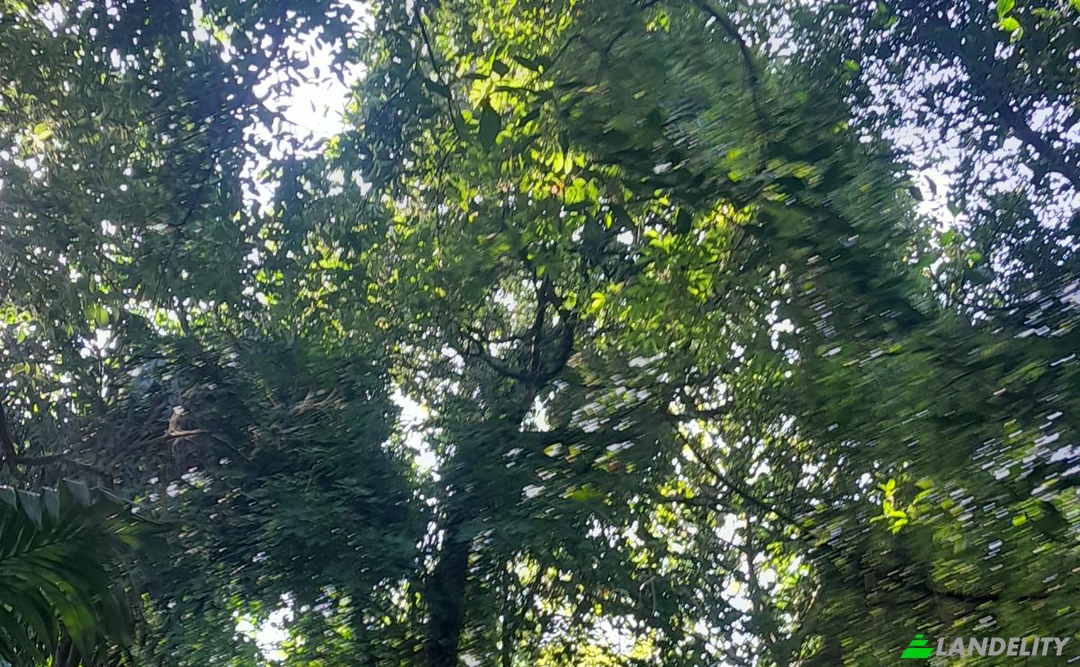 Investimento/Desenvolvimento para alugar Panadura-Nambapana-Ratnapura Hwy, Ratnapura, Sabaragamuwa Province, Sri Lanka. foto 1