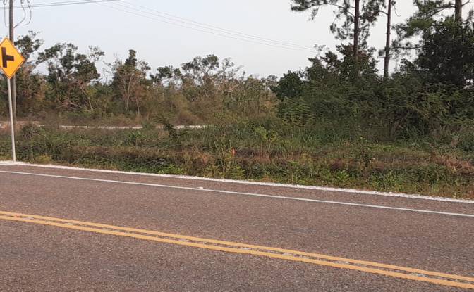 Land Lot for Sale - La Democracia, Belize