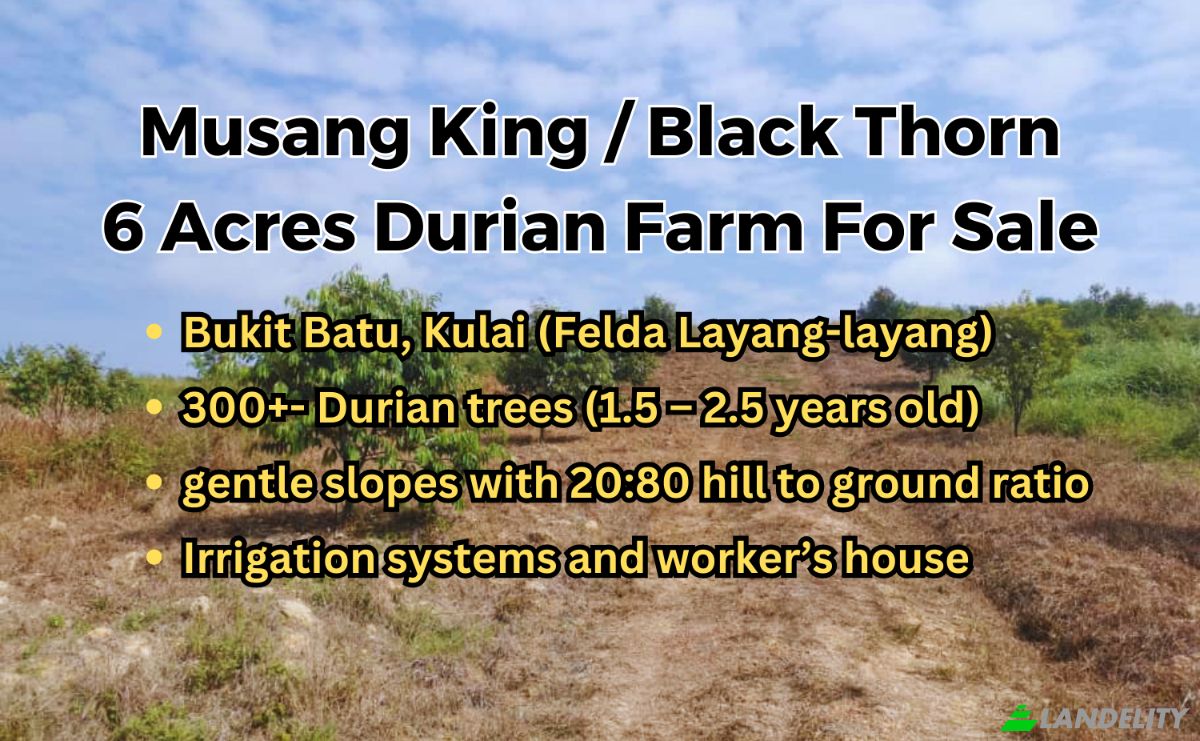 Земельна ділянка продаж Jln Enggang, Felda Layang-layang, Johor, Malaysia, 86200. Фото 1
