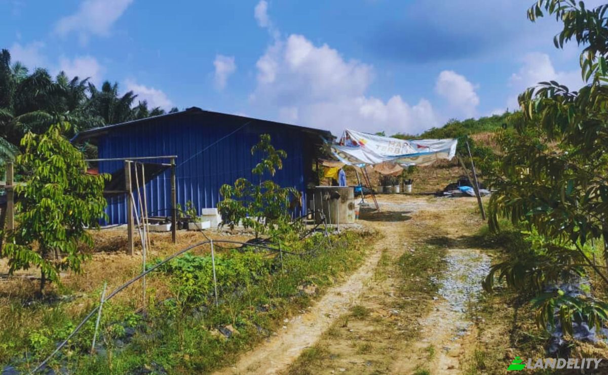 Земельна ділянка продаж Jln Enggang, Felda Layang-layang, Johor, Malaysia, 86200. Фото 2