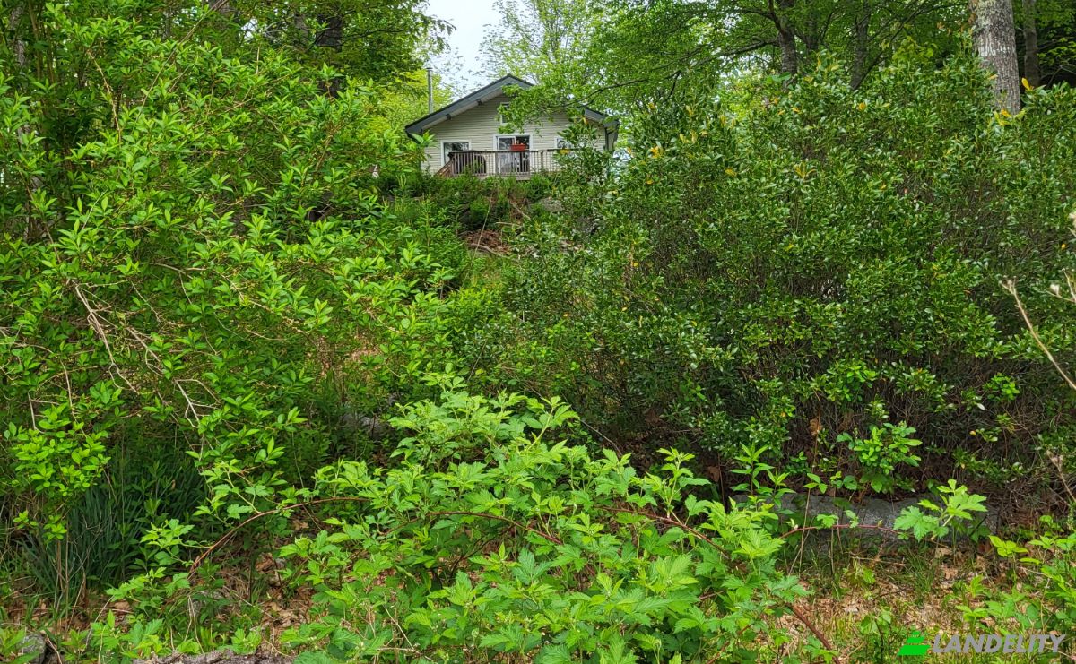 Single Family Home for Sale Bells Point Rd, Port Mouton, Region of Queens Municipality, Nova Scotia, Canada. Photo 13