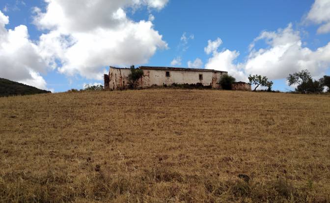Land Lot for Sale - Sao Bartolomeu de Messines, Portugal