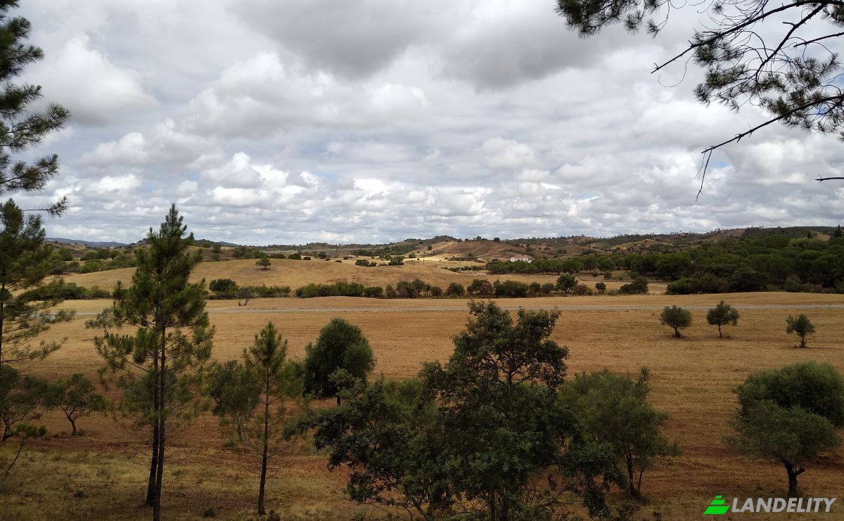 Lote de terreno à venda R de Vale, São Bartolomeu de Messines, Silves, Faro, Portugal. foto 3