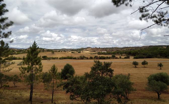 Lote de terreno à venda R de Vale. foto#3