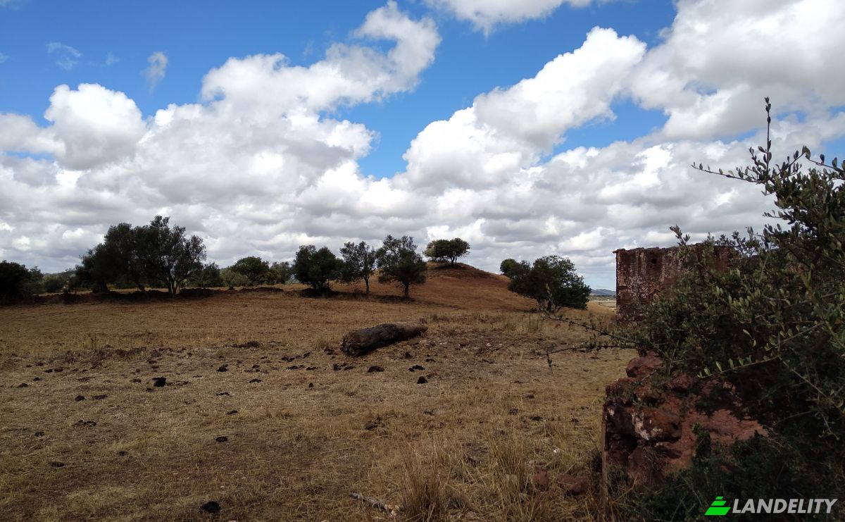 Lote de terreno à venda R de Vale, São Bartolomeu de Messines, Silves, Faro, Portugal. foto 4