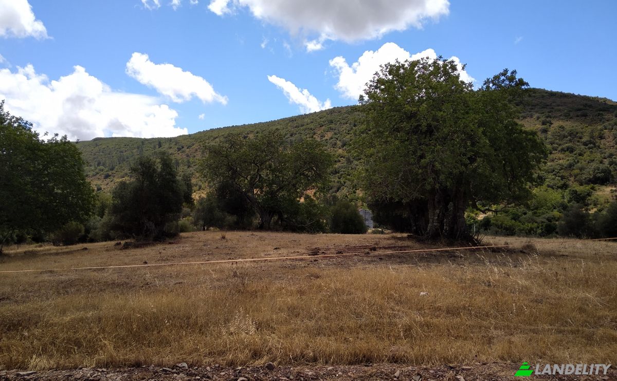 Lote de terreno à venda R de Vale, São Bartolomeu de Messines, Silves, Faro, Portugal. foto 5