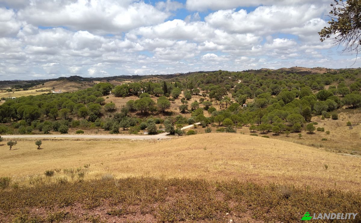 Lote de terreno à venda R de Vale, São Bartolomeu de Messines, Silves, Faro, Portugal. foto 7