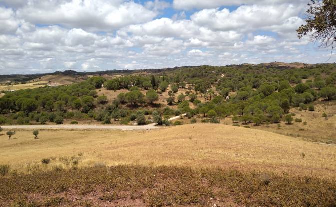 Lote de terreno à venda R de Vale. foto#7