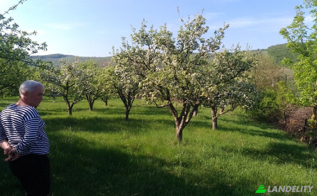 Grundstück zu verkaufen Drum fara nume, Hirjauca, Calarasi District, Moldova. Foto 1