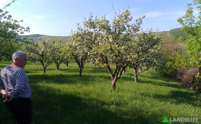 Land Lot for Sale - Hirjauca, Moldova