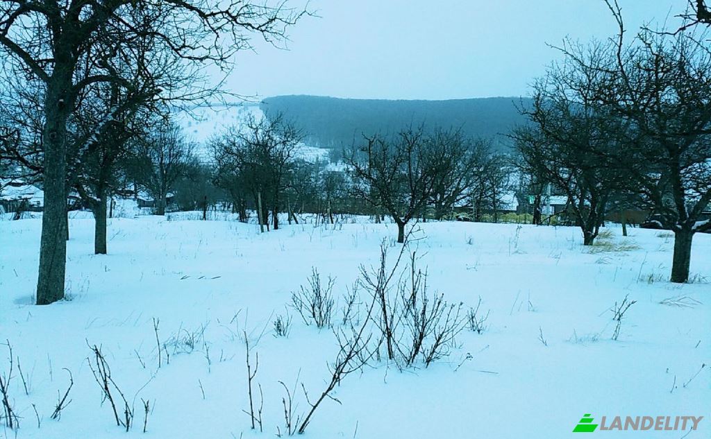 Grundstück zu verkaufen Drum fara nume, Hirjauca, Calarasi District, Moldova. Foto 4