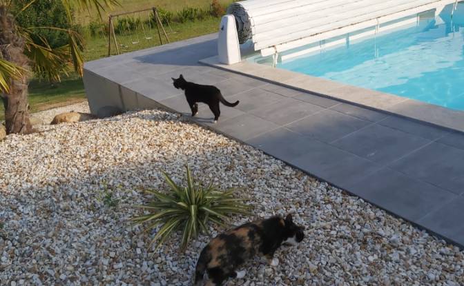 Eengezinswoning Te koop Le Pavillon, 36110 Levroux. Foto#10