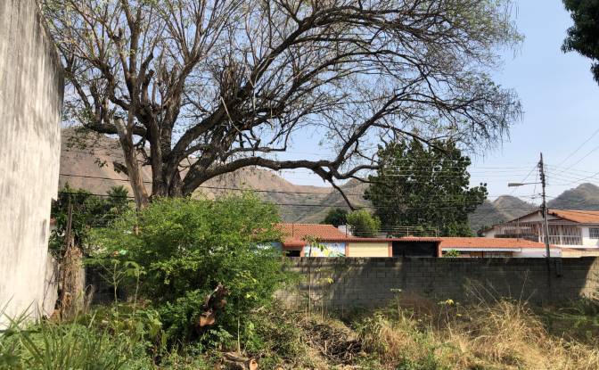 Land Lot for Sale Maracay, Girardot, Aragua. Photo#9 Land Lot for Sale Maracay, Girardot, Aragua. Photo#9