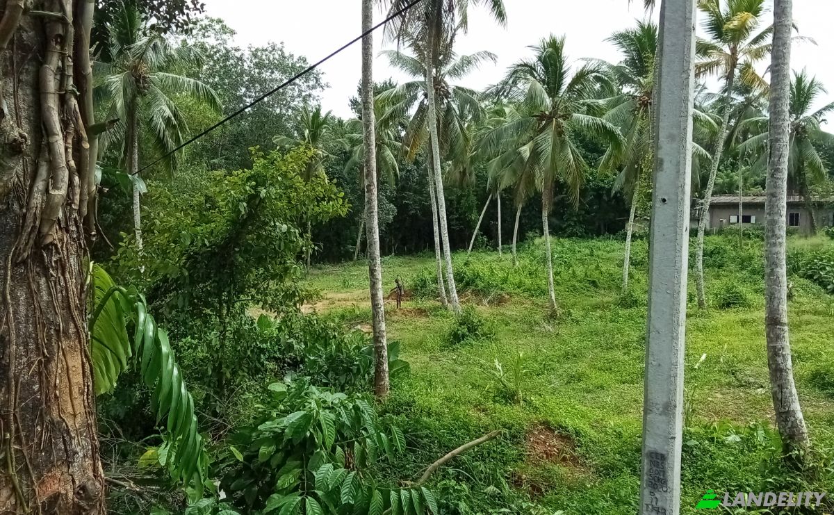 Lotto di terreno in vendita Bus Stop, Poregedara, Kalutara, Western Province, Sri Lanka. Foto 2