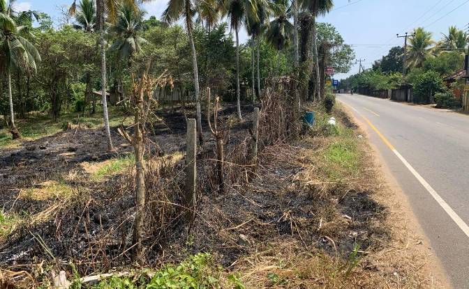 Land Lot for Sale - Poregedara, Sri Lanka