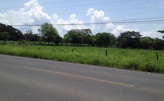 Land Lot for Sale Provincia de Guanacaste. Photo#2
