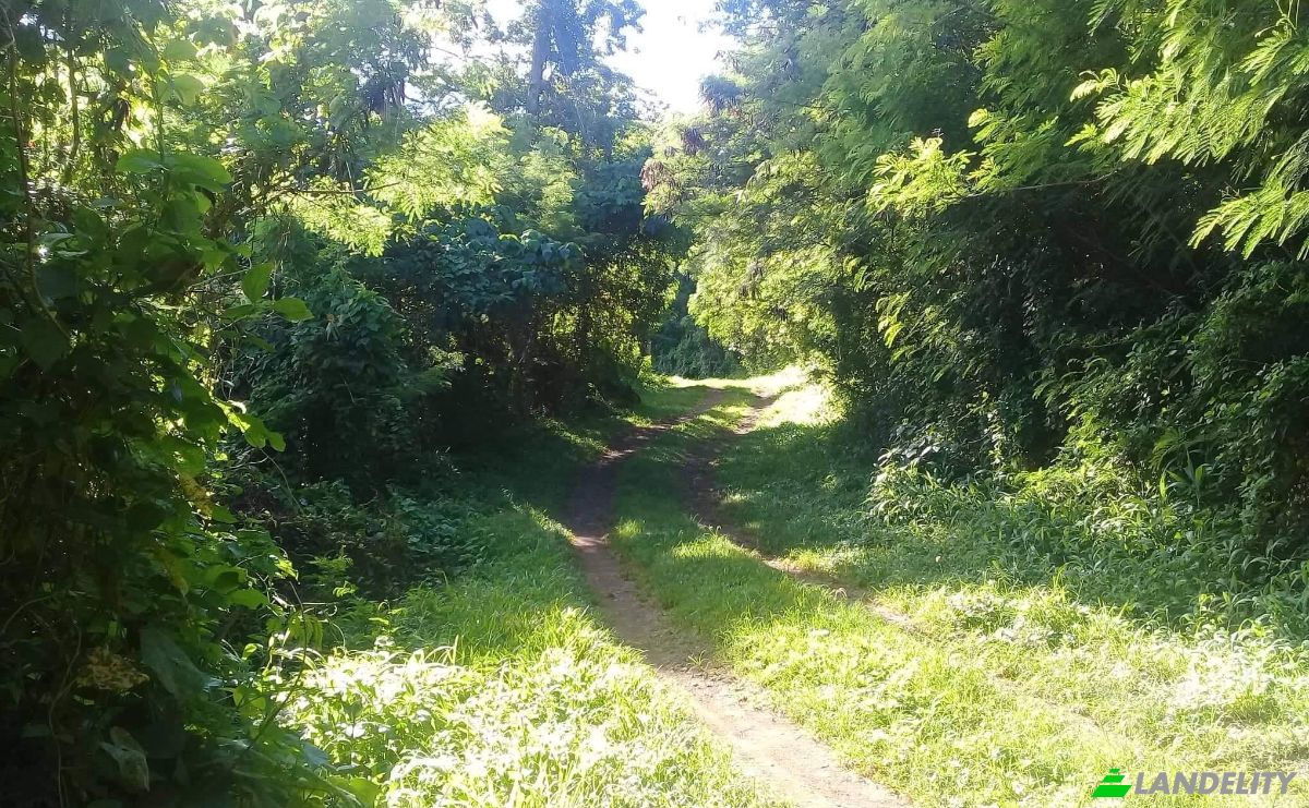 Działka na sprzedaż Koro, Nabuna, Lomaiviti, Eastern Division, Fiji. Zdjęcie 1