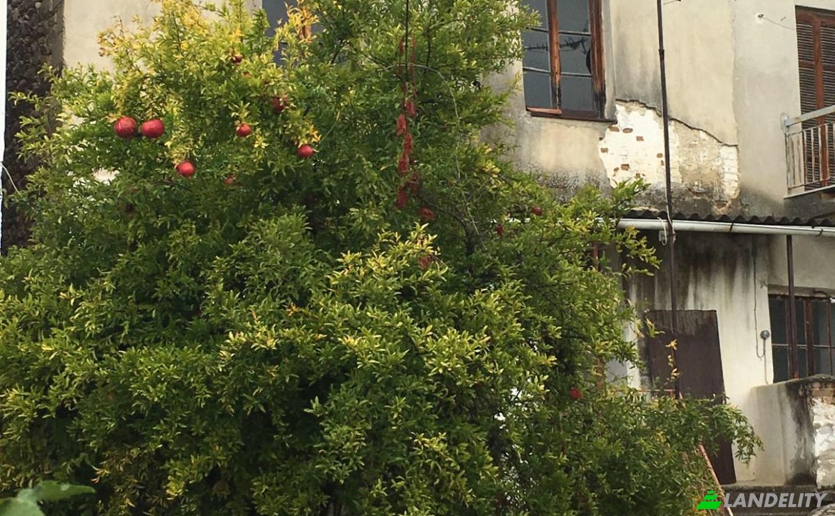 Townhouse for Sale Megalou Alexandrou 98, Agio Pnevma 620 48, Agio Pnevma, Central Macedonia, Decentralized Administration of Macedonia and Thrace, Greece. Photo 4