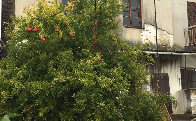 Townhouse for Sale Megalou Alexandrou 98. Photo#4 Townhouse for Sale Megalou Alexandrou 98. Photo#4